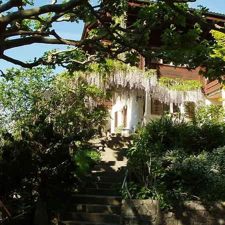 Ferienwohnung Selinda * Niederried bei Interlaken